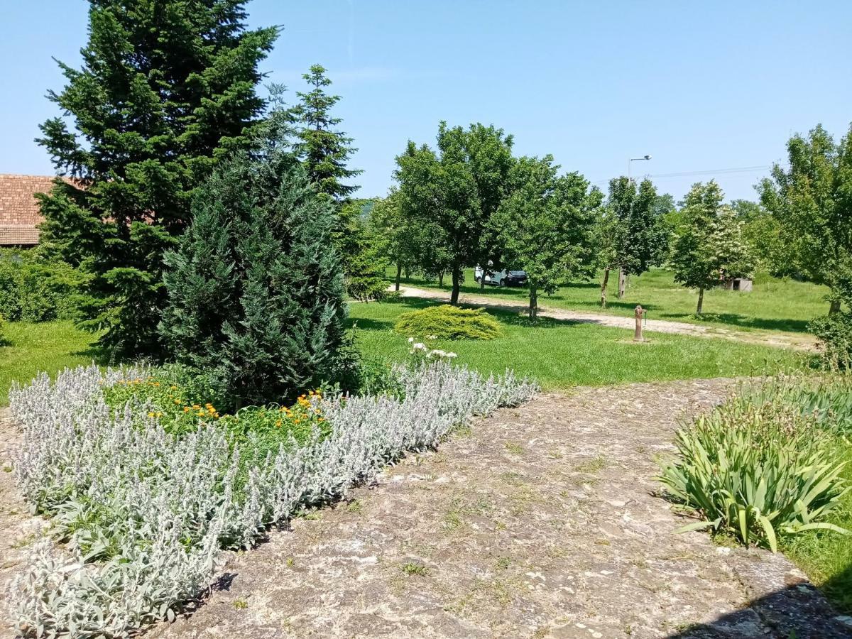 Véndektanya Vendégház Tapolca Exterior foto