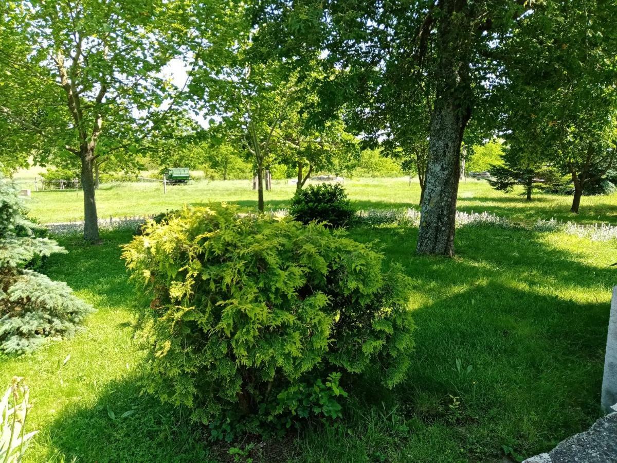 Véndektanya Vendégház Tapolca Exterior foto